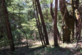 Residential Acreage,  Old Cazadero road, Russian River, CA 95421 - 6