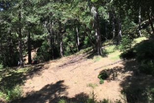 Residential Acreage,  Old Cazadero road, Russian River, CA 95421 - 3