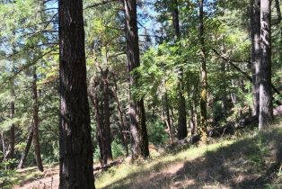 Residential Acreage,  Old Cazadero road, Russian River, CA 95421 - 7