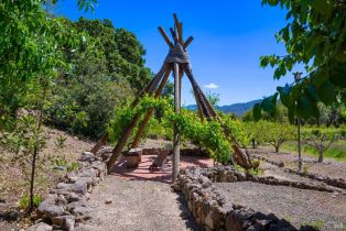 Single Family Residence,  Dutch Henry Canyon road, Calistoga, CA 94515 - 44