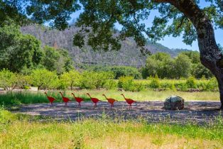 Single Family Residence,  Dutch Henry Canyon road, Calistoga, CA 94515 - 38