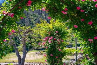 Single Family Residence,  Dutch Henry Canyon road, Calistoga, CA 94515 - 42