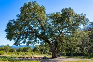 Single Family Residence,  Dutch Henry Canyon road, Calistoga, CA 94515 - 34