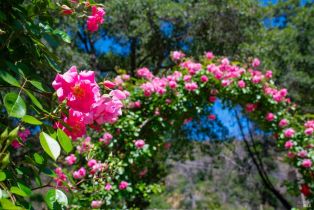 Single Family Residence,  Dutch Henry Canyon road, Calistoga, CA 94515 - 40