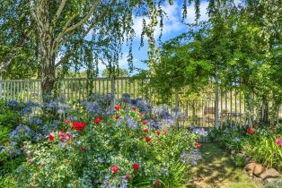 Single Family Residence,  Chileno Valley road, Petaluma, CA 94952 - 7