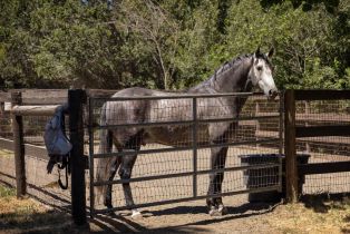 Single Family Residence,  Chileno Valley road, Petaluma, CA 94952 - 34