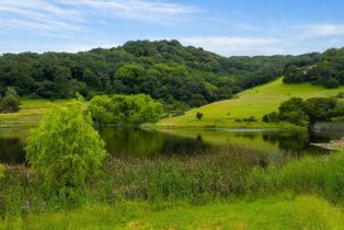 Single Family Residence,  Chileno Valley road, Petaluma, CA 94952 - 42