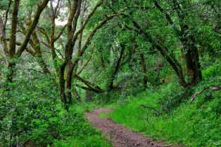 Single Family Residence,  Chileno Valley road, Petaluma, CA 94952 - 48