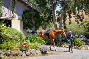 Single Family Residence,  Chileno Valley road, Petaluma, CA 94952 - 4