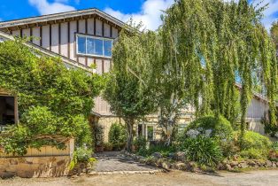 Single Family Residence,  Chileno Valley road, Petaluma, CA 94952 - 3