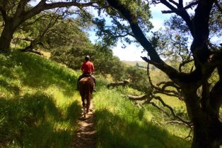 Residential Acreage,  Chileno Valley road, Petaluma, CA 94952 - 8