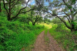 Residential Acreage,  Chileno Valley road, Petaluma, CA 94952 - 10