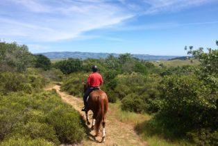 Residential Acreage,  Chileno Valley road, Petaluma, CA 94952 - 9