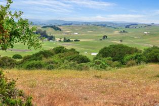 Residential Acreage,  Chileno Valley road, Petaluma, CA 94952 - 7