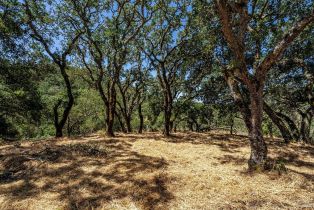 Residential Lot,  Montecito boulevard, Napa, CA 9455 - 16