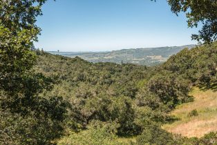 Single Family Residence,  High road, Sonoma, CA 95476 - 42