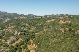 Single Family Residence,  High road, Sonoma, CA 95476 - 41