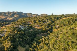 Single Family Residence,  High road, Sonoma, CA 95476 - 40