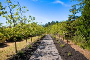 Single Family Residence,  Summit Lake drive, Angwin, CA 94508 - 50