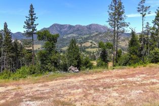 Residential Lot,  State Highway 128 none, Healdsburg, CA 94515 - 3