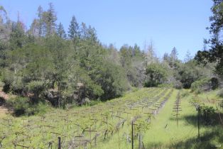 Residential Lot,  State Highway 128 none, Healdsburg, CA 94515 - 17