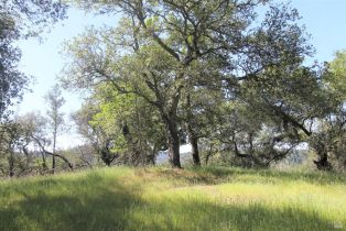 Residential Lot,  State Highway 128 none, Healdsburg, CA 94515 - 21