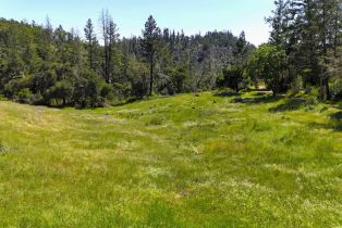 Residential Lot,  State Highway 128 none, Healdsburg, CA 94515 - 6