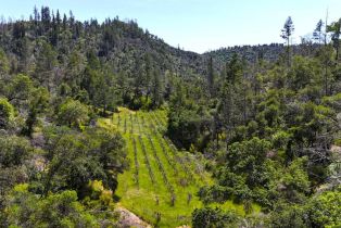 Residential Lot,  State Highway 128 none, Healdsburg, CA 94515 - 14