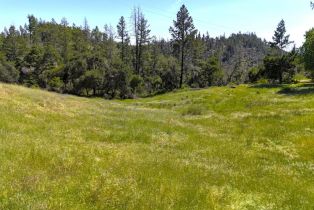 Residential Lot,  State Highway 128 none, Healdsburg, CA 94515 - 7