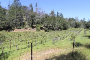 Residential Lot,  State Highway 128 none, Healdsburg, CA 94515 - 16