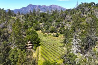 Residential Lot,  State Highway 128 none, Healdsburg, CA 94515 - 15