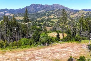 Residential Lot,  State Highway 128 none, Healdsburg, CA 94515 - 2