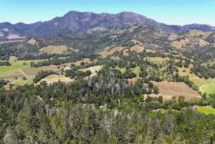 Residential Lot,  State Highway 128 none, Calistoga, CA 95415 - 26