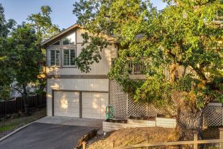 Single Family Residence,  Santa Rosita court, Santa Rosa, CA 95405 - 63