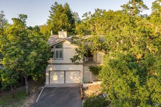 Single Family Residence,  Santa Rosita court, Santa Rosa, CA 95405 - 62