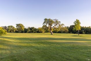 Single Family Residence,  Dealy lane, Napa, CA 94559 - 39