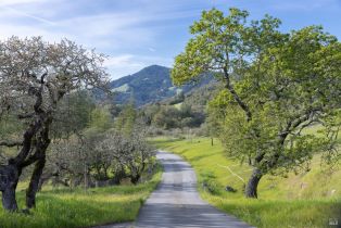 Single Family Residence,  Matanzas Creek lane, Santa Rosa, CA 95404 - 3