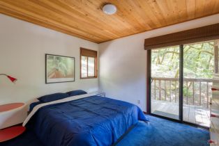 Single Family Residence,  Pine Flat road, Russian River, CA 95421 - 12