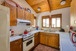 Single Family Residence,  Pine Flat road, Russian River, CA 95421 - 7