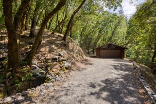 Single Family Residence,  Pine Flat road, Russian River, CA 95421 - 23