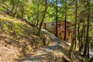 Single Family Residence,  Pine Flat road, Russian River, CA 95421 - 14