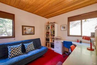 Single Family Residence,  Pine Flat road, Russian River, CA 95421 - 11