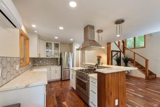 Single Family Residence,  Hwy 116 none, Russian River, CA 95436 - 13