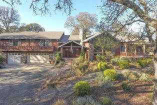 Single Family Residence,  Wooden Valley road, Napa, CA 94558 - 17