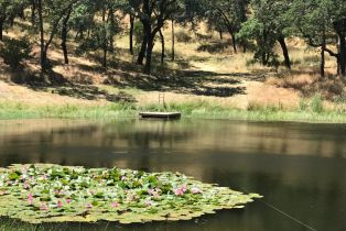 Single Family Residence,  Wooden Valley road, Napa, CA 94558 - 10