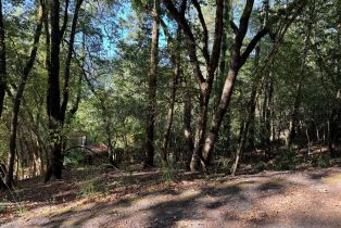 Residential Lot,  Hillside drive, Russian River, CA 95436 - 4