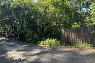 Residential Lot,  Hillside drive, Russian River, CA 95436 - 6