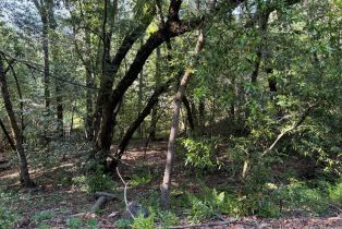 Residential Lot,  Hillside drive, Russian River, CA 95436 - 8