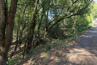 Land, 9868 Hillside Dr, Russian River, CA  Russian River, CA 95436