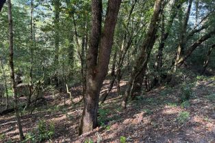 Residential Lot,  Hillside drive, Russian River, CA 95436 - 7